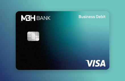 Visa Business Visa Business
